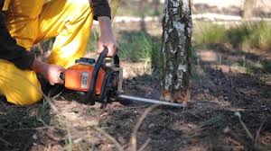 Best Soil Testing and Treatment  in North Muskegon, MI